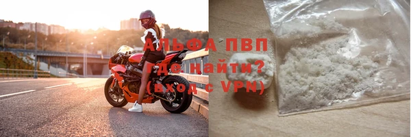 сатива Надым