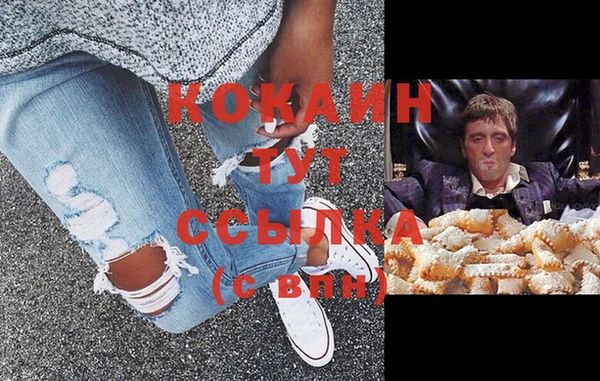 сатива Надым