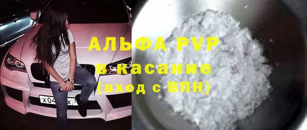 сатива Надым