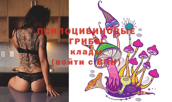 сатива Надым
