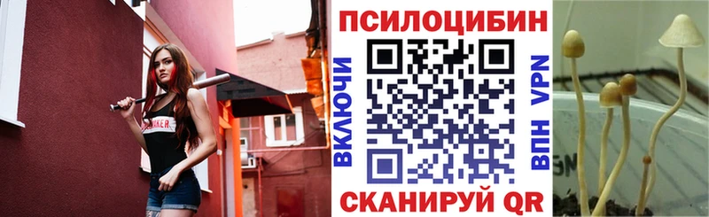 Псилоцибиновые грибы Magic Shrooms  купить наркоту  Сокол 